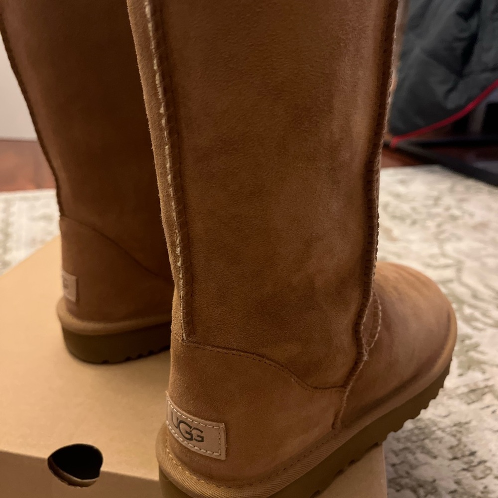 Tall Uggs. Brand new with box.